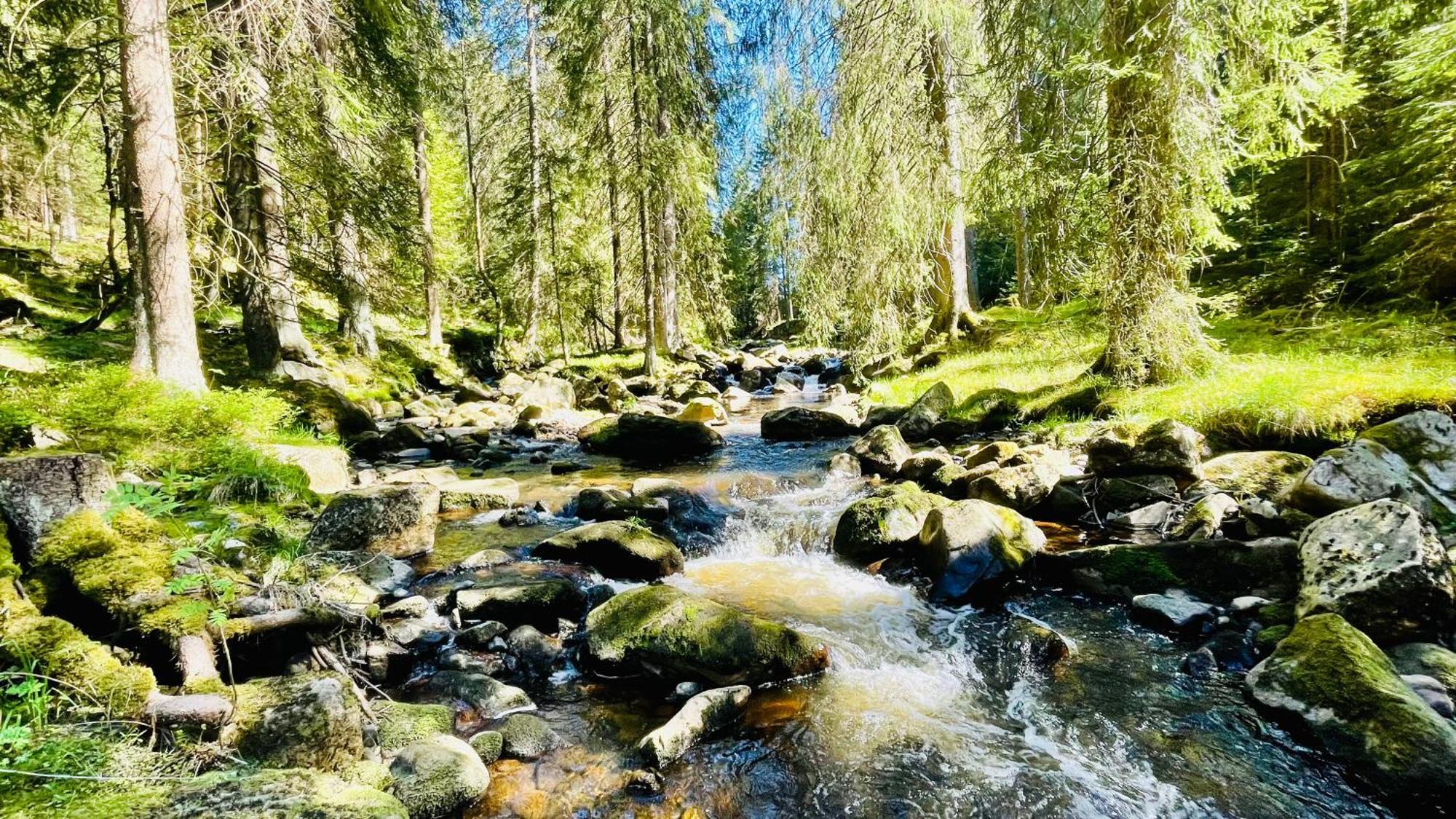 Apartmany Twins Abertamy Buitenkant foto